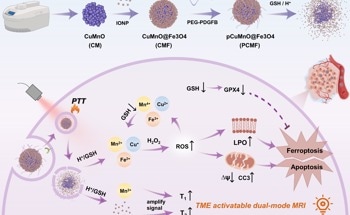 New Nanostructure for Tumor-Specific Multimodal Theranostics