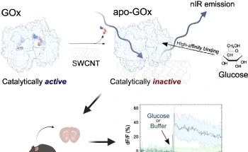 Battery-Independent Fluorescent Nanosensor for Glucose Monitoring