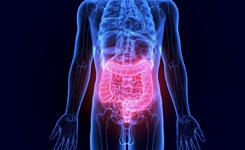 The Process Behind Cancer Immunotherapy Triggered Intestinal Inflammation