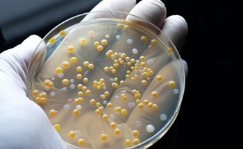 The Nano Machines Made to Fight Antibiotic-Resistance and Cancer