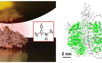 Infrared Nanospectroscopy Sees Single Protein's Vibrational Spectra