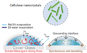 Scientists Create Anti-Icing and De-Icing Surface From Nanorods