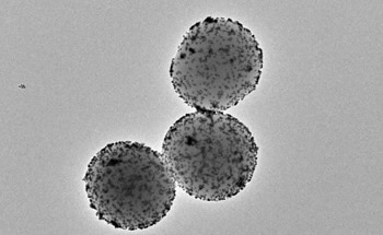 Nanorobots Facilitate a 90% Decrease in Bladder Tumor Size