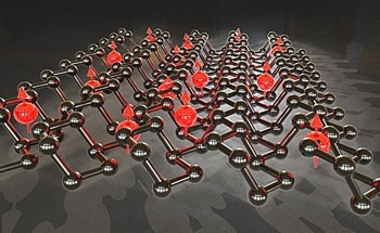Anisotropic Spin Transport Reported in Black Phosphorus