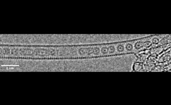 Trapping Krypton Atoms Inside Carbon Nanotubes to Form 1D Gas