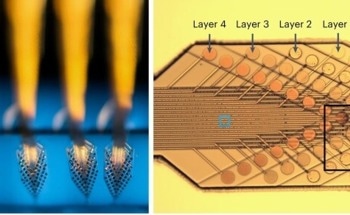 Implantable Neural Probe Records Single-Neuron Activity Over Time