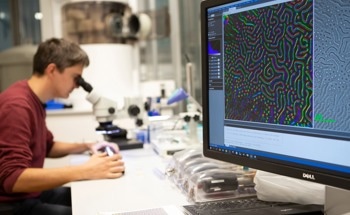 Discovery of Co-Existing Magnetic Skyrmions and Antiskyrmions