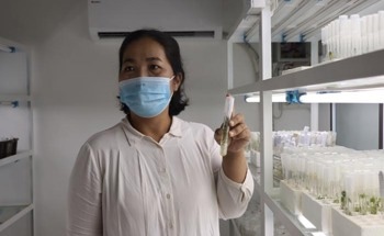 Harnessing Nanotechnology to Preserve Crops