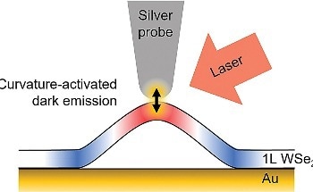Researchers Reveal Localized Emission Phenomena in WSe2