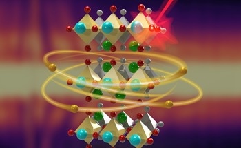 Mott Insulator Physics Unveiled with Ultrafast X-ray Pulses