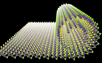 Janus Nanosheets Offer Unmatched Control Over Nanoroll Preparation