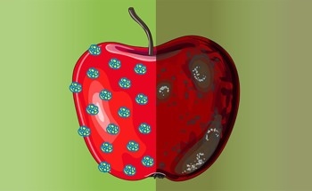 Nanocoating for Extended Shelf Life of Fruits and Vegetables