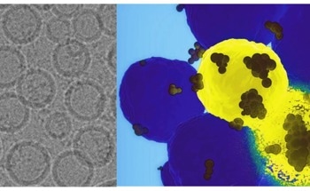 GPS Nanoparticle Platform Delivers Gene-Editing Tools in Cancer Cells