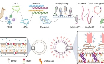 Enhancing the Delivery of Chemotherapy Drugs