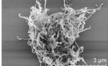 Utilizing HEA Nanoparticles as Catalysts for Single-Walled Carbon Nanotubes