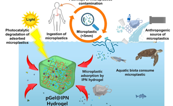 Engineered 3D Hydrogel Addresses Microplastic Contamination in Water