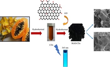 Papaya Peel Waste Offers Eco-Friendly Photocatalyst Solution
