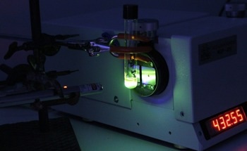 Halide Perovskite Nanocrystals in Ferroelectric Polymer Composites