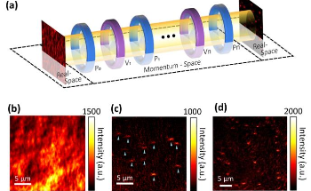 High Sensitivity Nano Imaging with Momentum-Space Polarization Filters