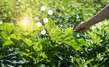 Sustainable Agriculture: Cyanobacteria and Nanoparticles Synergy