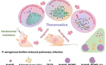 Enzyme-Nanohybrid Approach Elicits Strong Biofilm Eradication