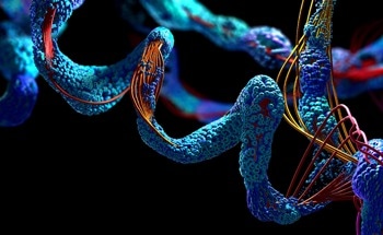 Enzymes Unlock a New Era of Customizable Nanoparticles