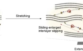 Interlocked Molecules Boost Graphene Film Strength and Elasticity