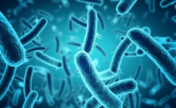 Optimizing Carboxymethyl Cellulose-Based Antimicrobial Nanocomposite Films