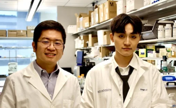 Ultrasmall Protein Nanobubbles for Next-Gen Ultrasound Imaging