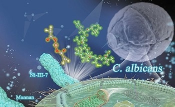 Development of High-Efficiency, Dual-Function Antimicrobial Nanozyme