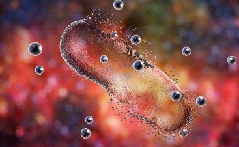EVOQ Nano’s EVQ-218 Nanoparticle Addresses Critical Gap in Fight Against Antibiotic-Resistant Bacteria