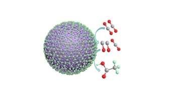 Polyaniline Catalyst Enables Efficient Acetate Production from CO2