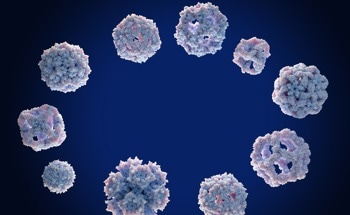 Anticancer Bimetallic Complexes: Synthesis, Characterization, and Cytotoxicity