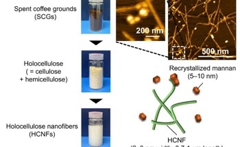 Turning Coffee Grounds into High-Value Holocellulose Nanofibers