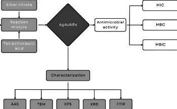 Creating Environmentally Friendly Nanoparticles Using Plant Waste