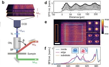 Innovative Microscopy Technique Enables Nanostructure Visualization