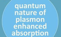 Unraveling the Mysteries of Hot Carriers in Plasmonic Nanostructures