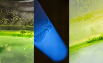 Engineering Nanobubbles for Advanced Biomedical Applications