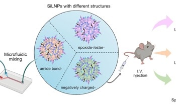 Optimizing LNP Delivery for Therapeutic Applications