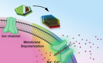New Magnetic Nanodiscs for Non-Invasive Brain Stimulation