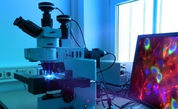 Enhancing Multiplexing in Fluorescence Microscopy with NanoPlex