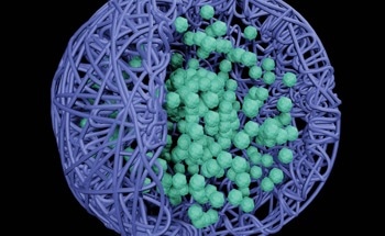 Advancing Colorectal Cancer Treatment with Nano-PROTACs