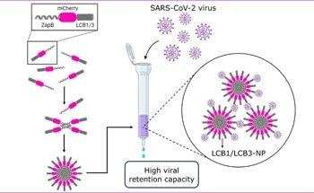 Nanoparticle-Enabled Rapid and Sensitive COVID-19 Detection