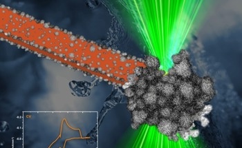 Real-Time Imaging Provides a New Perspective on Nanoparticle Growth