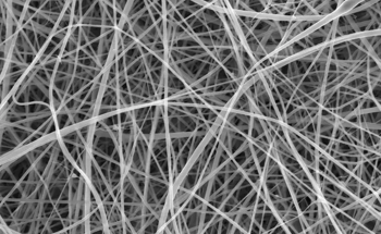 Revolutionary Nanofibers Made from Flour for Tissue Regeneration