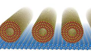New Technique Yields Aligned Arrays of Tungsten Disulfide Nanotubes