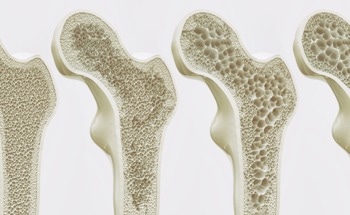 Skeletal Interoception: Innovations in Bone Regeneration Biomaterials