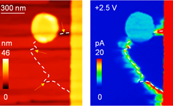 Brain-Inspired Nano-Tech Promises New Era for Electronics