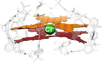 Graphene-Based Model System for Selective Ion Transport