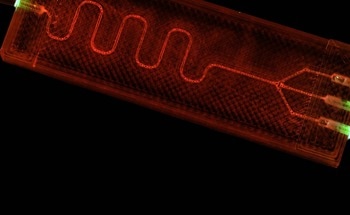 An Open Microfluidic Model for Tumor Cell-ECM Interactions and Anti-Metastasis Testing